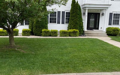 Photo of Marco S.'s yard after getting lawn care in Scranton, PA