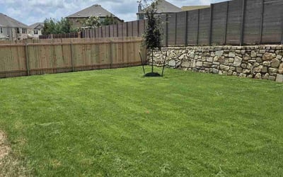 Photo of Tanya C.'s yard after getting lawn care in Palm Harbor, FL