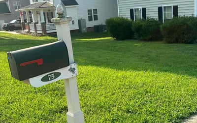 Photo of Brenda B.'s yard after getting lawn care in Fayetteville, GA