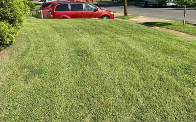 Photo of Rachel T.'s yard after getting lawn care in Logan, OH