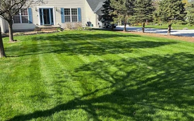 Photo of Helen H.'s yard after getting lawn care in Cheektowaga, NY