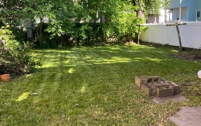 Photo of Tammy D.'s yard after getting lawn care in Somerville, MA