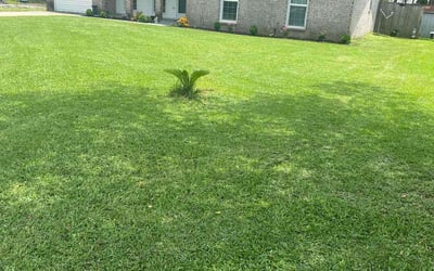 Photo of Anthony R.'s yard after getting lawn care in Sealy, TX