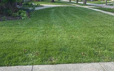 Photo of Janice H.'s yard after getting lawn care in Olmsted Falls, OH