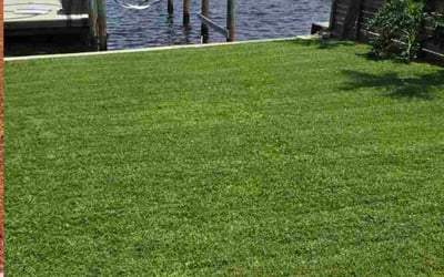 Photo of Denise L.'s yard after getting lawn care in Berlin, CT