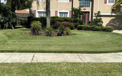 Photo of Jennifer M.'s yard after getting lawn care in Middleburg, FL