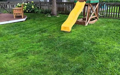 Photo of Thomas H.'s yard after getting lawn care in Saint Paul, MN