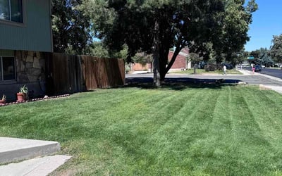 Photo of Anton B.'s yard after getting lawn care in Sandy, UT
