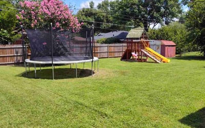 Photo of Rakshit R.'s yard after getting lawn care in Belchertown, MA
