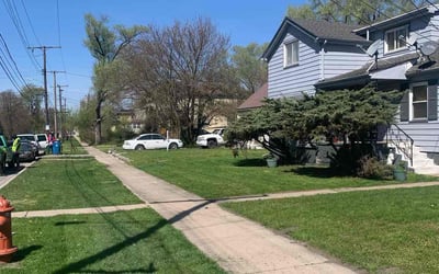 Photo of Tracey G.'s yard after getting lawn care in Gary, IN