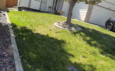 Photo of John P.'s yard after getting lawn care in Fairport, NY