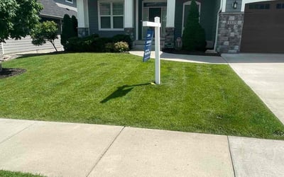 Photo of Michelle M.'s yard after getting lawn care in San Francisco, CA