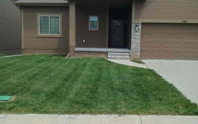 Photo of Ajaang D.'s yard after getting tree care in Plattsmouth, NE