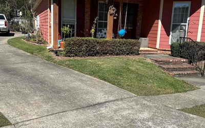 Photo of Sharon F.'s yard after getting lawn care in Hattiesburg, MS