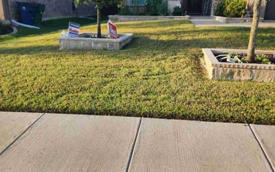 Photo of Fred L.'s yard after getting lawn care in Waxahachie, TX