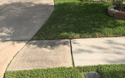 Photo of Larry K.'s yard after getting lawn care in Valencia, CA