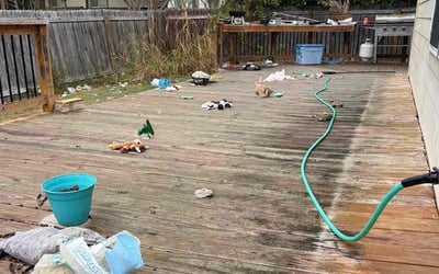 Photo of Jess S.'s yard after getting lawn care in Santa Rosa, CA