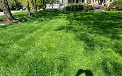 Photo of Zach C.'s yard after getting lawn care in Wayne, PA