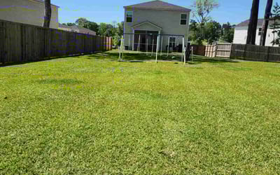 Photo of Xander W.'s yard after getting lawn care in Charleston, SC