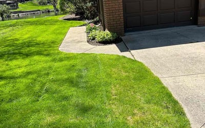 Photo of Marsha C.'s yard after getting lawn care in Massapequa, NY