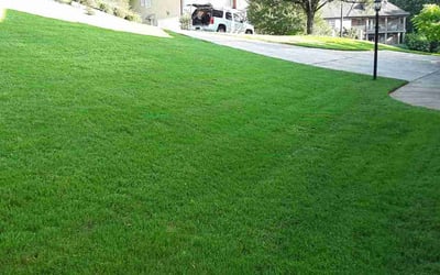 Photo of Deeanna S.'s yard after getting lawn care in Dalton, GA