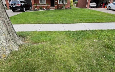 Photo of Jim E.'s yard after getting lawn care in Tulsa, OK