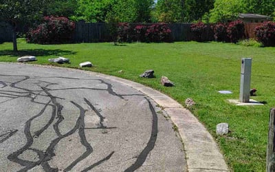 Photo of Sharon M.'s yard after getting lawn care in Buda, TX