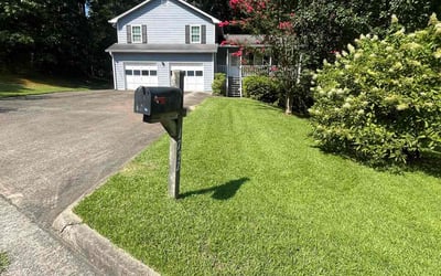 Photo of Krista H.'s yard after getting lawn care in Lithia Springs, GA