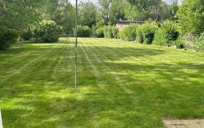 Photo of Matt F.'s yard after getting lawn care in Wheat Ridge, CO