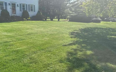 Photo of David D.'s yard after getting lawn care in Westwood, MA
