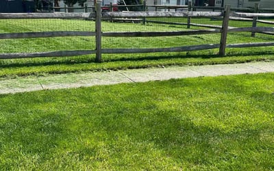 Photo of Kimberly B.'s yard after getting lawn care in Maumee, OH