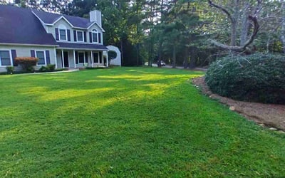 Photo of Tammy T.'s yard after getting lawn care in Peachtree City, GA