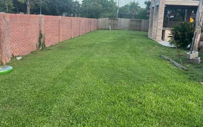 Photo of Sandy C.'s yard after getting lawn care in Everett, WA