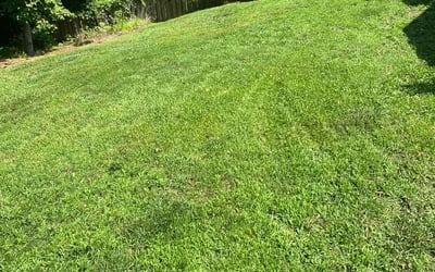 Photo of Xavier A.'s yard after getting lawn care in Garner, NC