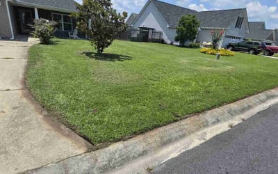 Photo of Dijana S.'s yard after getting lawn care in Round Lake, IL