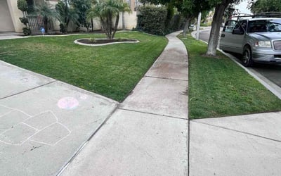 Photo of LaTosha G.'s yard after getting lawn care in Thermal, CA