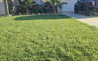 Photo of Regina P.'s yard after getting lawn care in Hemet, CA