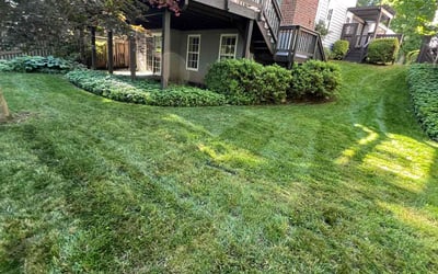 Photo of Tammy D.'s yard after getting lawn care in Gaithersburg, MD