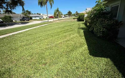 Photo of Anna C.'s yard after getting lawn care in Satellite Beach, FL