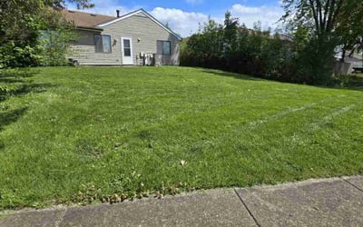 Photo of Gloria H.'s yard after getting lawn care in Streamwood, IL