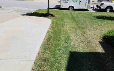 Photo of Ann B.'s yard after getting lawn care in Lawrence, MA