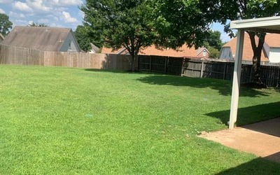 Photo of Judy M.'s yard after getting lawn care in Washington, MO