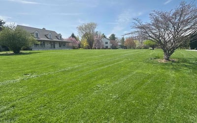 Photo of Mark P.'s yard after getting lawn care in King Of Prussia, PA