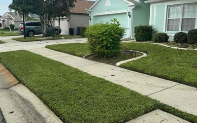 Photo of Gary S.'s yard after getting lawn care in Nokomis, FL