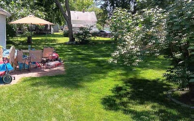 Photo of Yadira G.'s yard after getting lawn care in Council Bluffs, IA