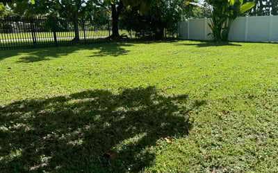 Photo of Richard M.'s yard after getting lawn care in Arnold, MD