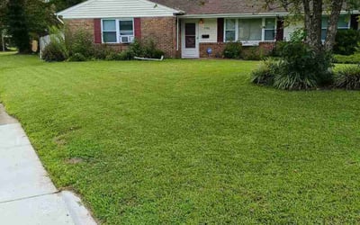 Photo of Joel Z.'s yard after getting lawn care in Windsor, VA