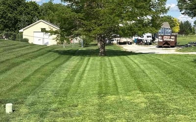 Photo of Wilbert J.'s yard after getting lawn care in Haysville, KS