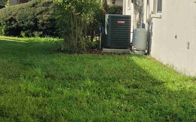 Photo of Lisa N.'s yard after getting lawn care in Aliquippa, PA