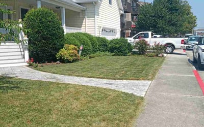 Photo of Linda T.'s yard after getting lawn care in Ocean City, MD